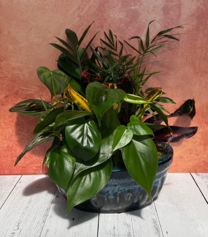 8" Ceramic Dish Garden