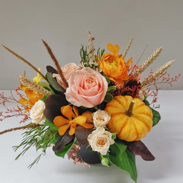 Hello Fall!