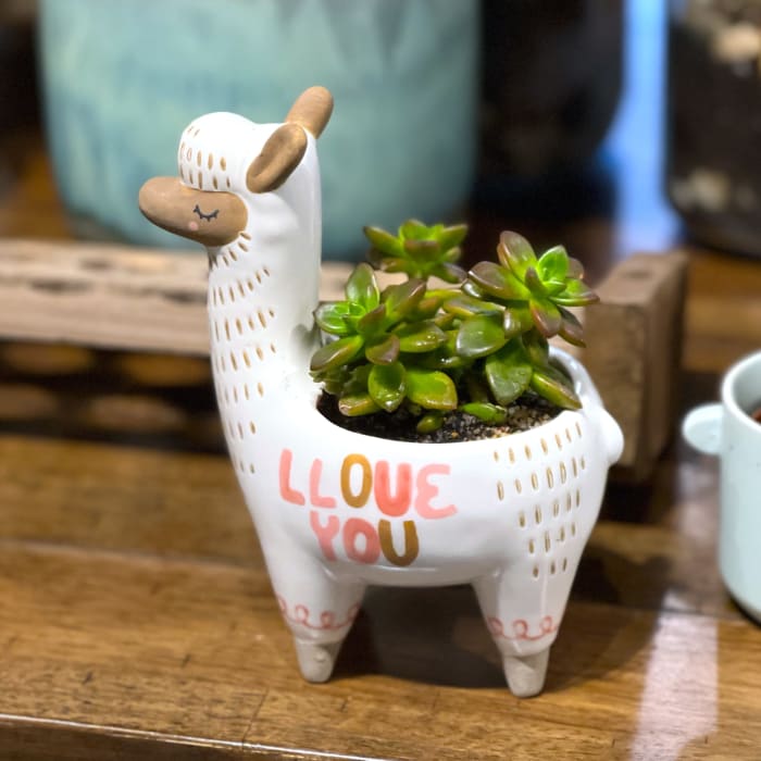 Llama Planter