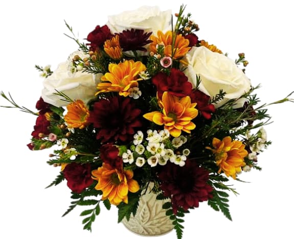 Autumn Sophistication IF-5040