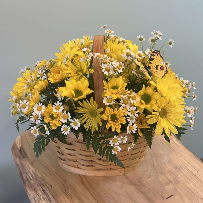 Daisy Basket