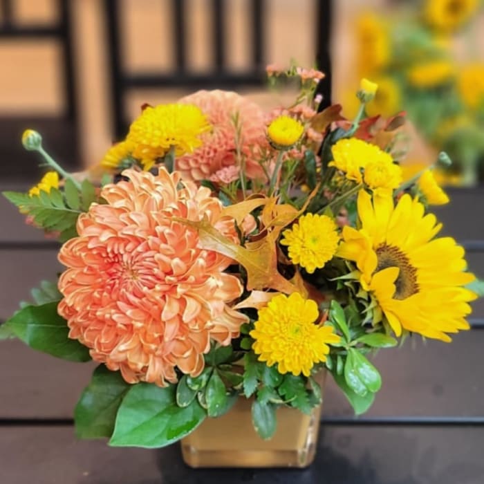 Autumn Sunshine Delight