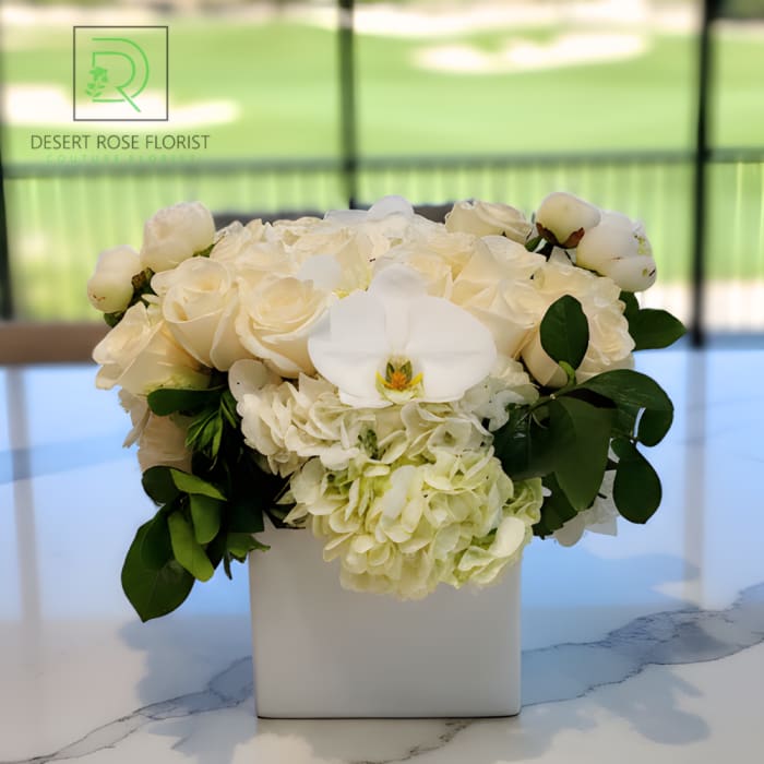 Elegant Orchids