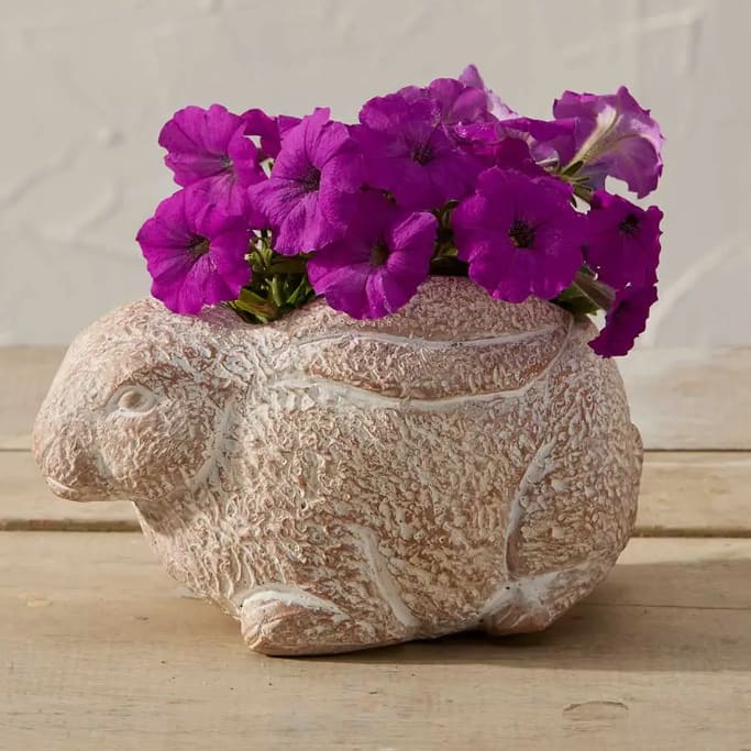 Bunny Terracotta Planter