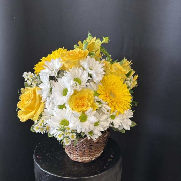 Daisy Dreams