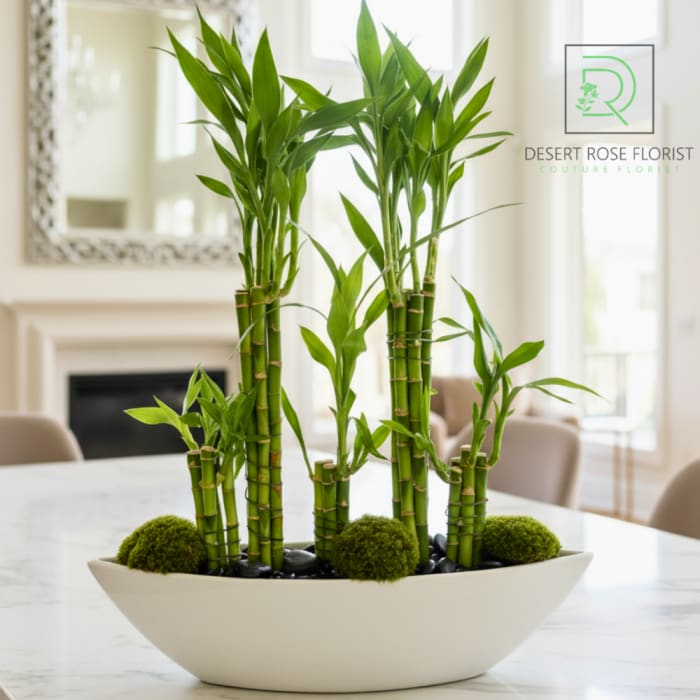 Good Luck & Wealth Bamboo