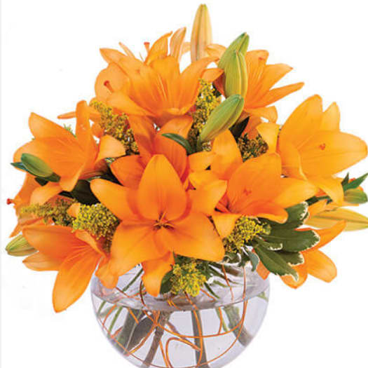 Orange Lily Sorbet