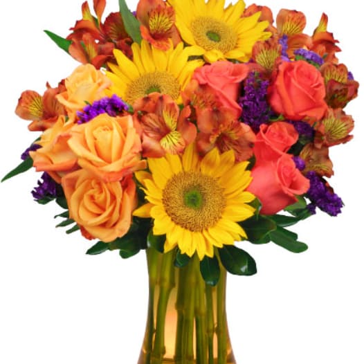 Sunflower Sampler