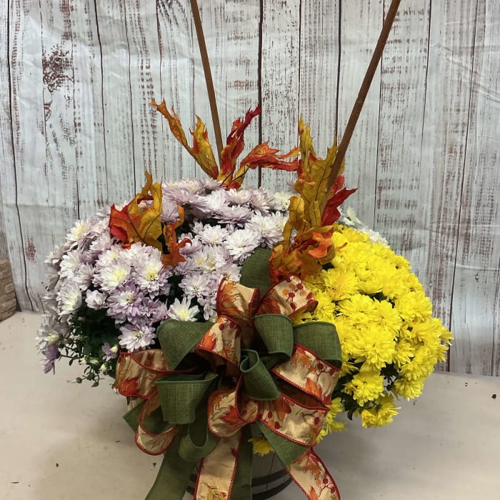 Fall Leaves Mums