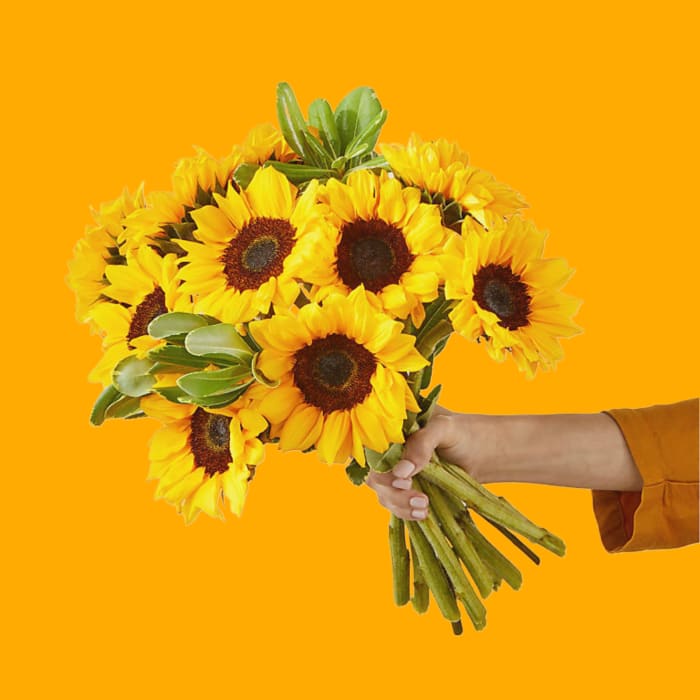 Locally Grown Bunches of Sunflowers
