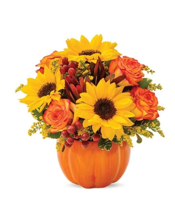 Sunny Fall Pumpkin