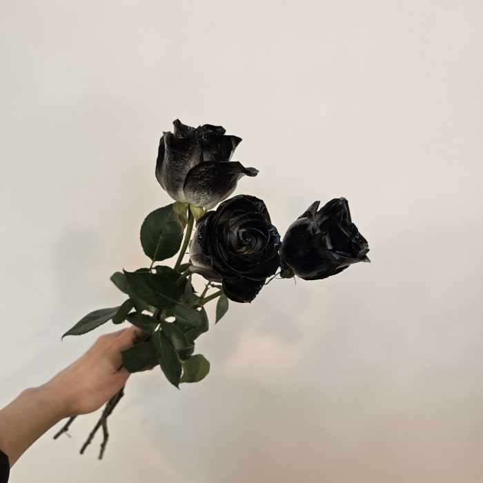 BLACK PAINTED ROSE WRAPPED BUQUET