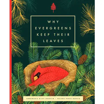 Why Evergreens Keep Their Leaves