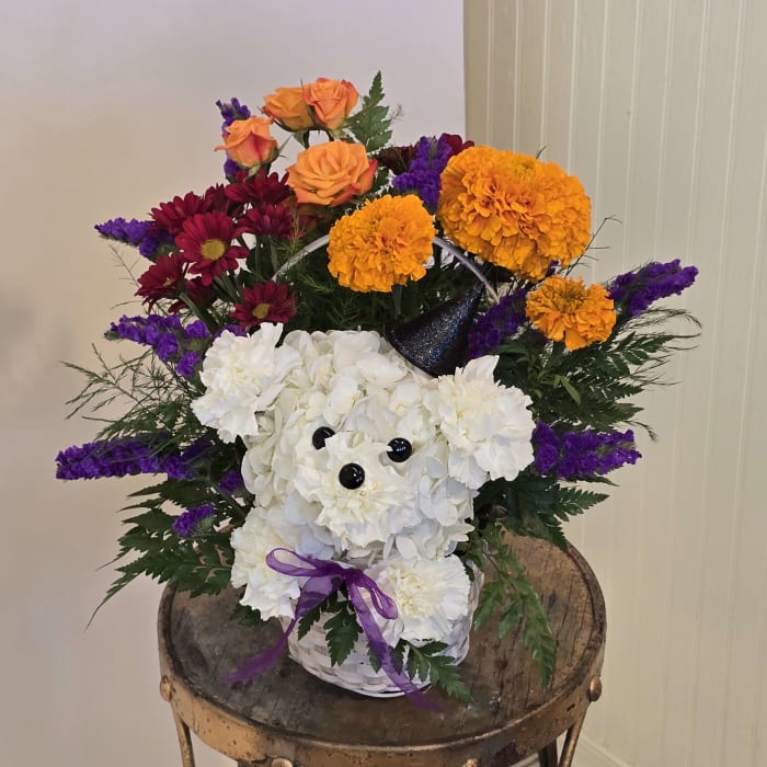 WITCH PUPPY IN A BASKET