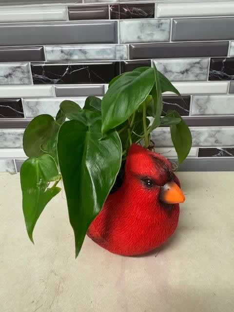 Cardinal Planter
