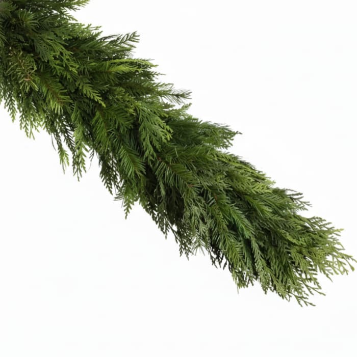 Cedar / Douglas Fir Farm Fresh Garland (6')