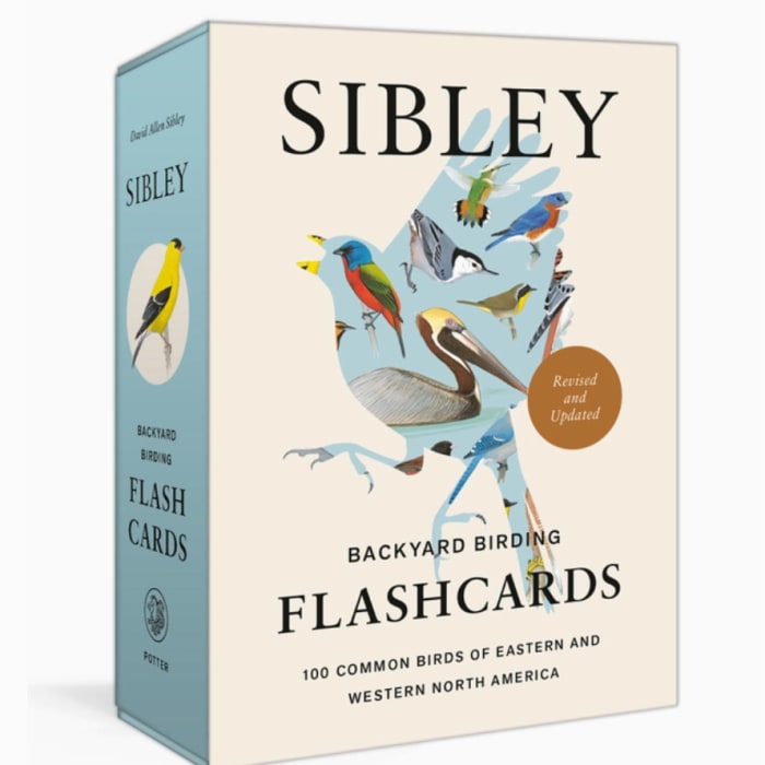 Sibley Backyard Flashcards