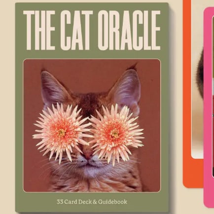 The Cat Oracle: 33 Card Deck & Guidebook