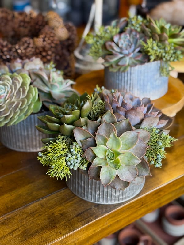 Rustic Succulent Garden