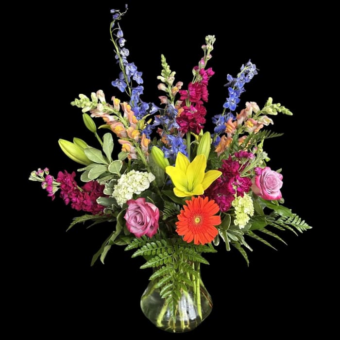 To The Meadow and Back