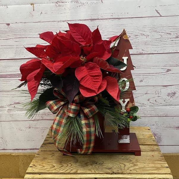 Joy Poinsettia Planter