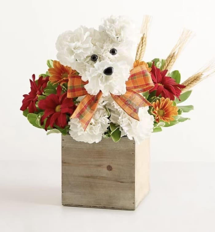 a-DOG-able® for Fall