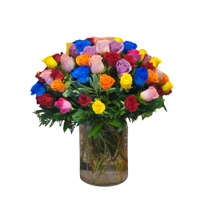 HB-18 Arreglo de seis docenas de rosas de colores