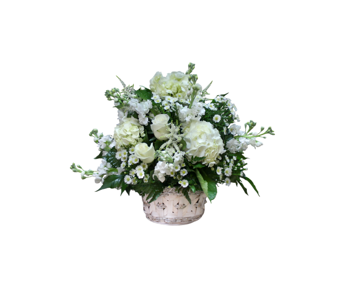 AF-6 Arreglo de rosas, hortensias, stocks y montecasino