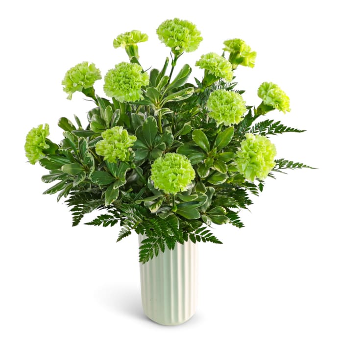 One Dozen Bright Green Carnations