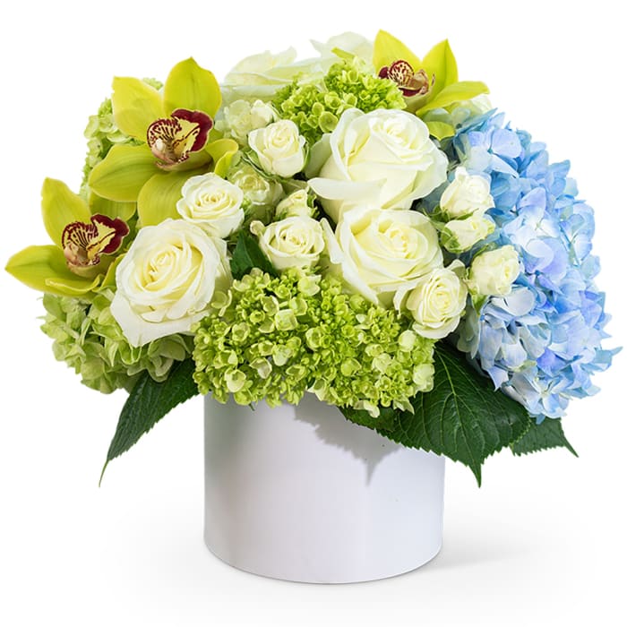 Luxe Home Garden with Orchids