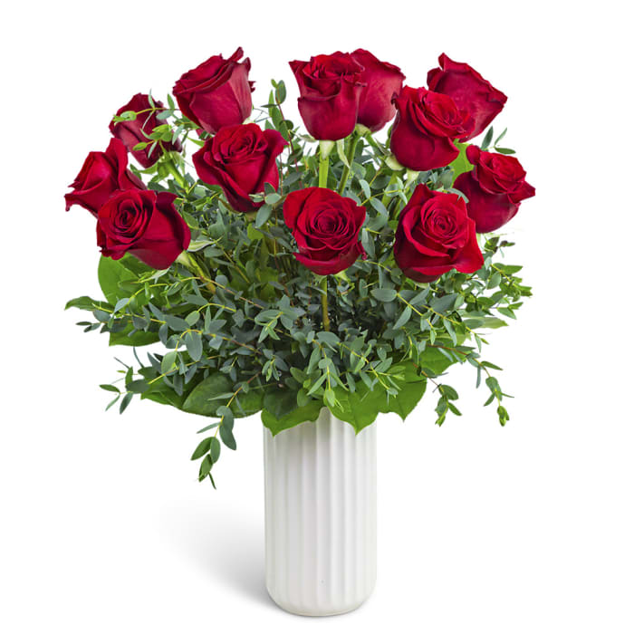 One Dozen Ruby Red Roses