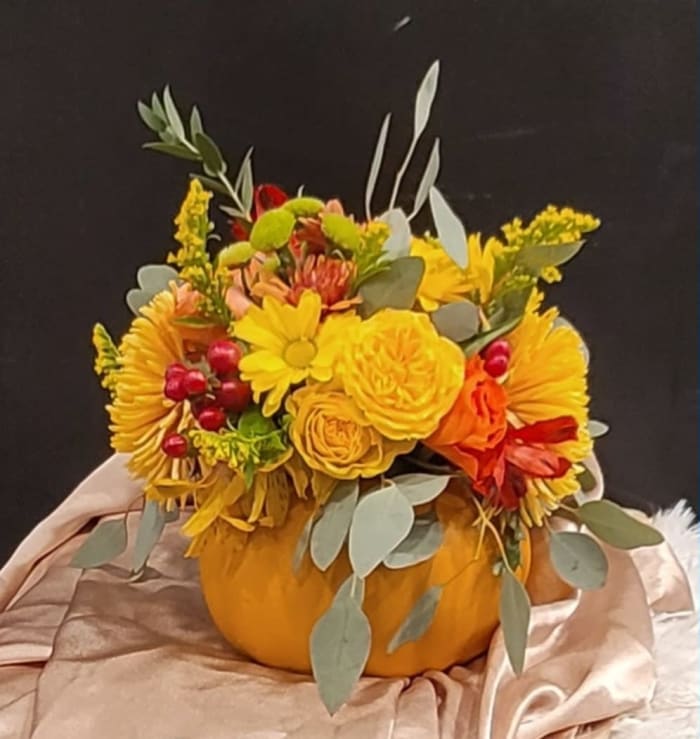 The Prettiest Pumpkin