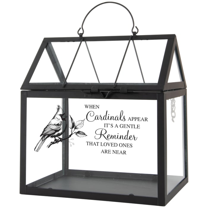 In Celebration Terrarium