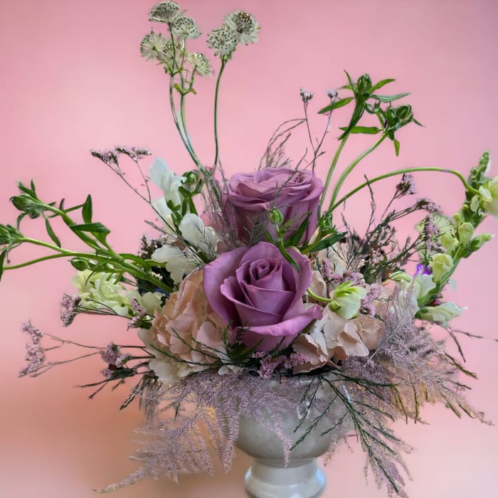 Designer's Choice | Modern Design