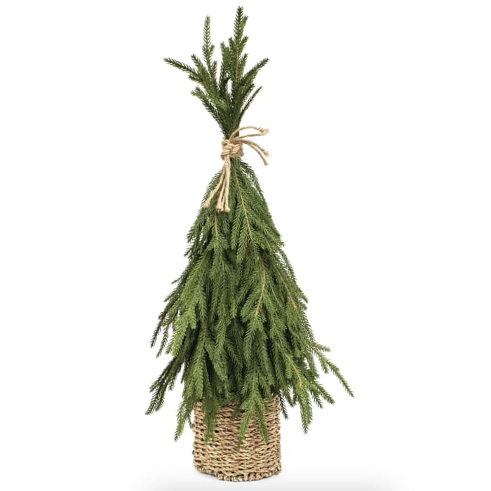 Drooping Soft Touch Austrian Pine Tree in Basket