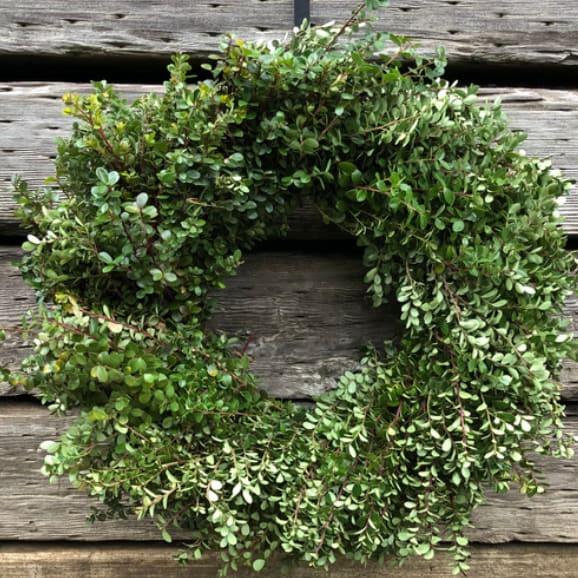 Boxwood Wreath
