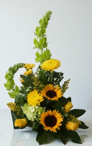 ZENSATIONAL- Your Choice of Rose Color