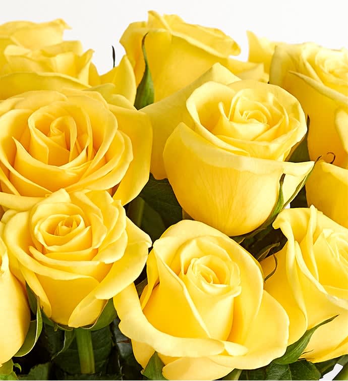 Dozen Yellow Roses (SALE)
