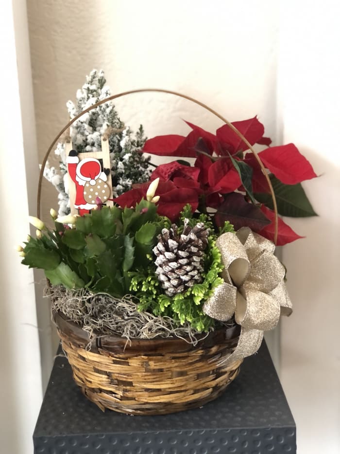 Christmas Santa garden