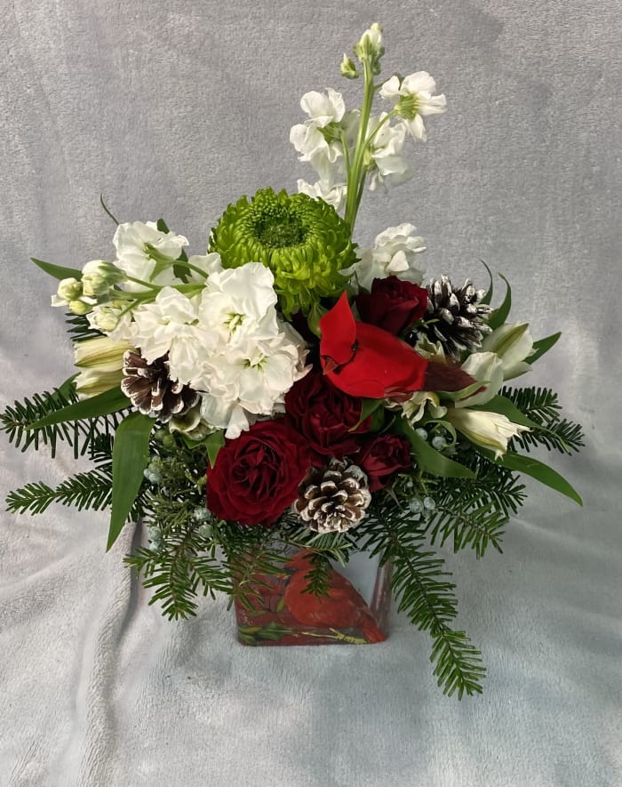 And a Cardinal in a Pine Tree