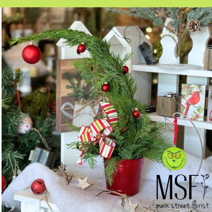 Fresh Grinch Tree Workshop