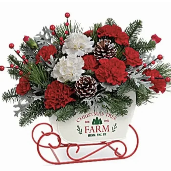 Christmas Tree Farm White Sleigh