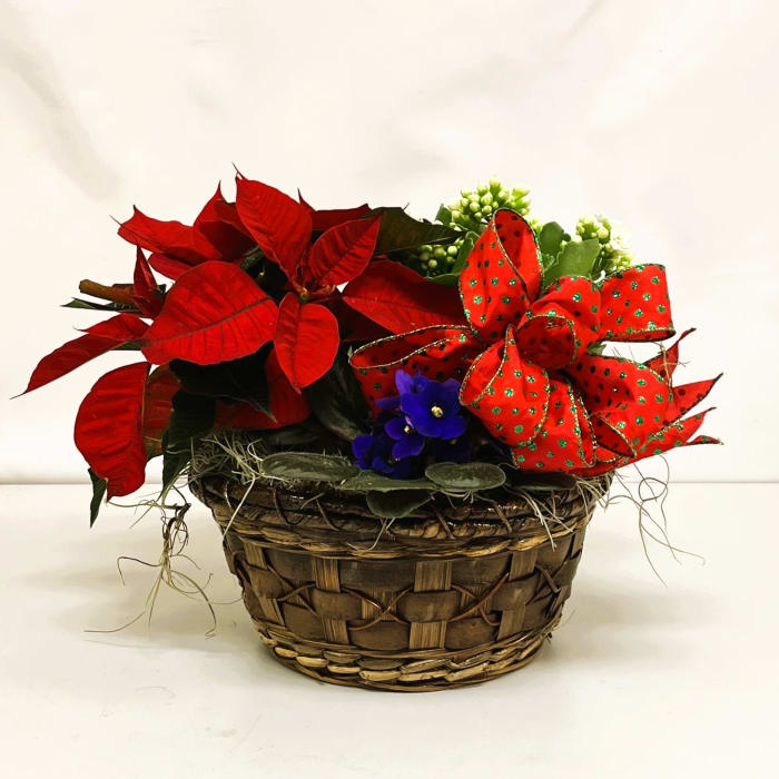 8" Holiday Homecoming Basket