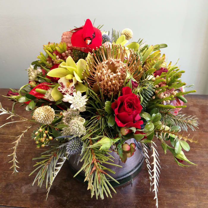 Cardinal and Company