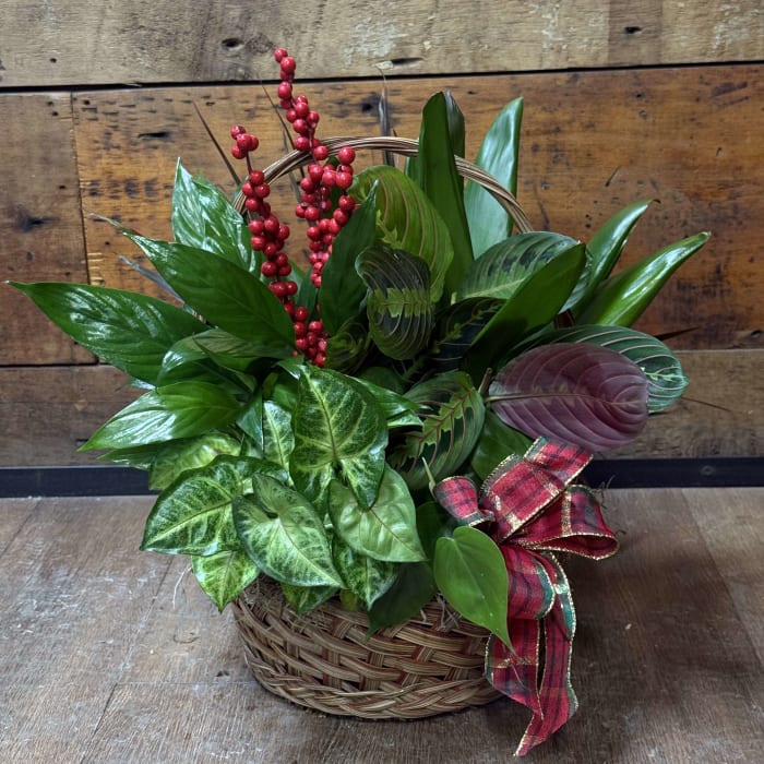 10' DishGarden Basket