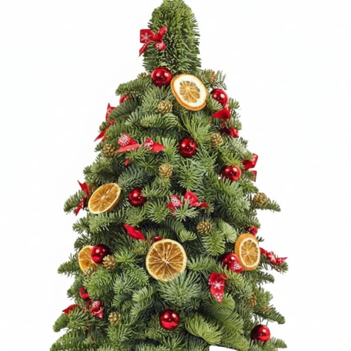 O Tannenbaum
