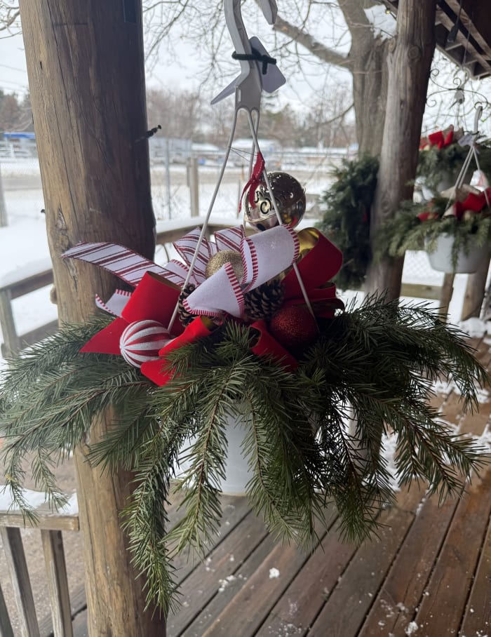 Winter Whimsy Hanging Basket