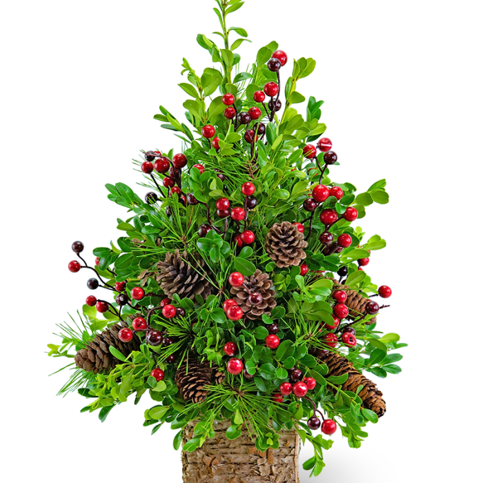 Adorned Boxwood and Pine  Tree