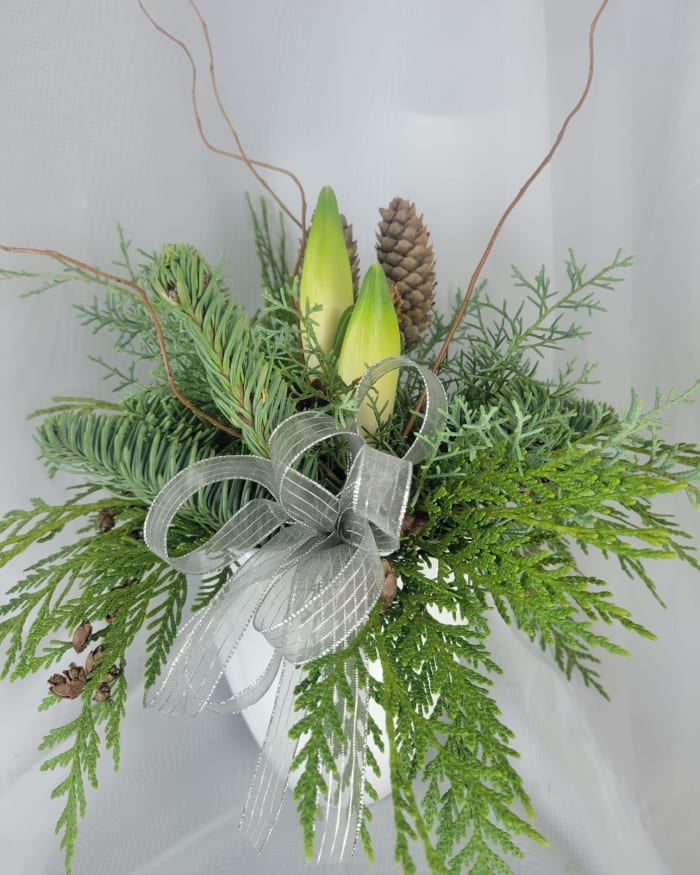 Winter Elegance Potted Amaryllis Arrangement