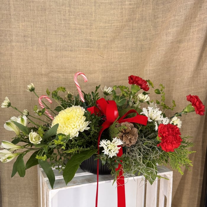 Candy Cane Christmas